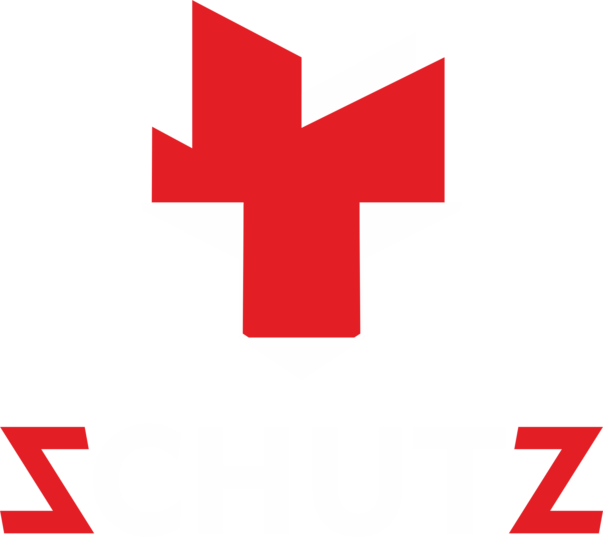 Schutz Group
